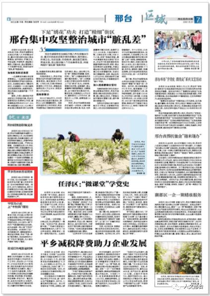 永远的7日之都